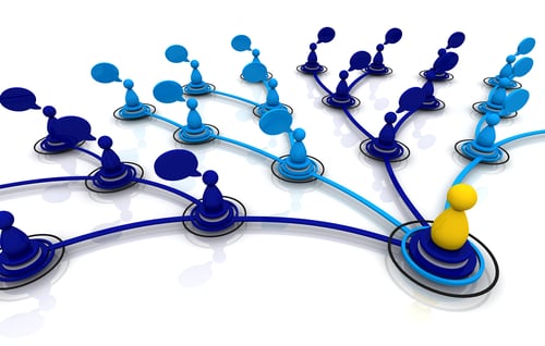 Graphic showing multiple forked paths to choose from