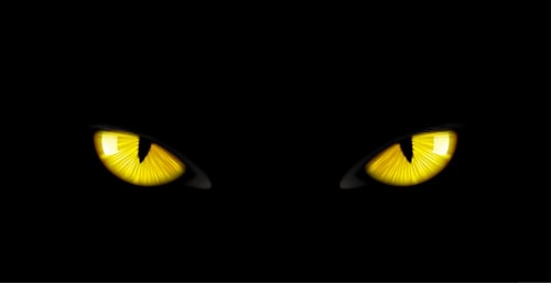 Cyber Predator looking out from the jungle